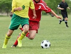 邓丽君离世,墓园鲜花簇,拥致哀,英皇娱乐官网,英皇娱乐品牌,英皇娱乐精彩,英皇娱乐