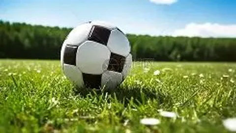 狼队对武磊展开欧联接触，转会仅需600万欧元即可达成